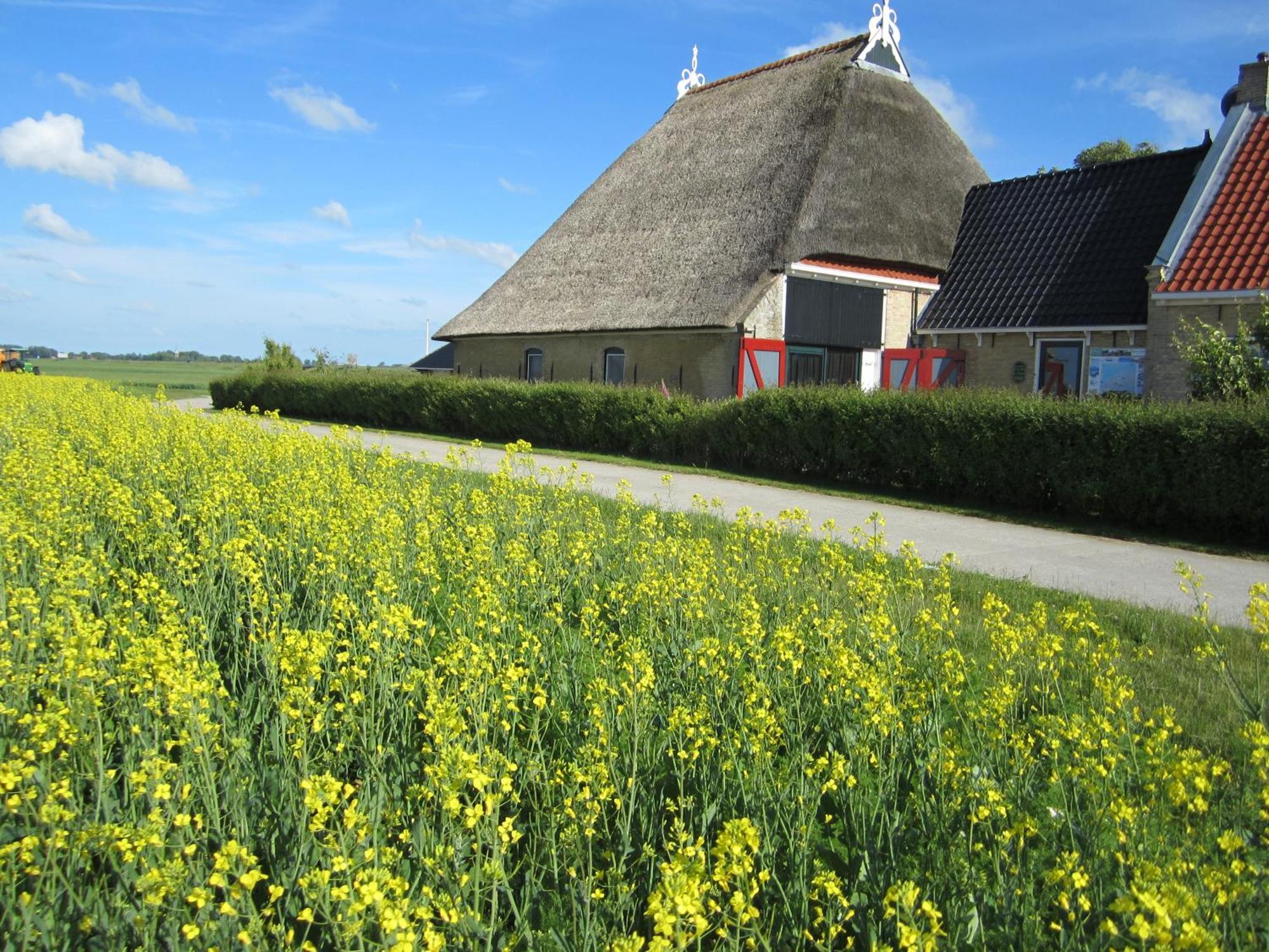 Oppe Klincke Franeker